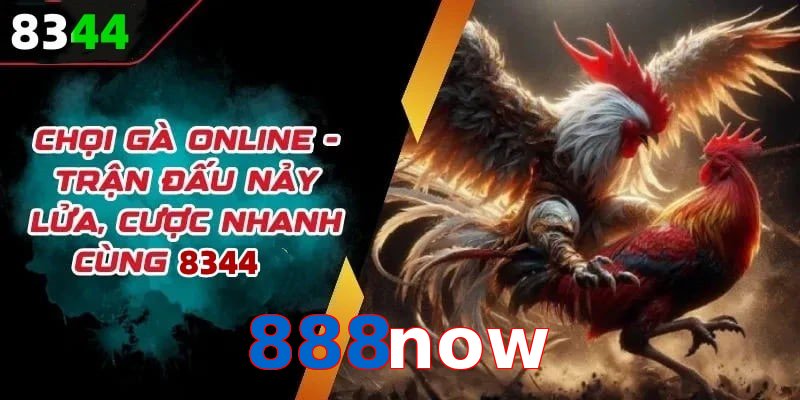 Đá gà 888now có rất nhiều ưu điểm vượt trội so với sân chơi khác