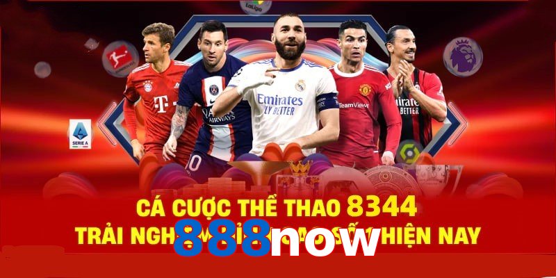 Đá Gà Philippines – Tinh Hoa Truyền Thống Và Thể Thao 